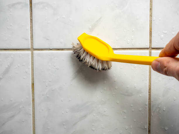 Best Mold Cleaning Services  in Setauket, NY